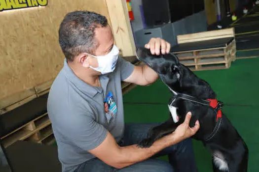 Donisete Braga defende UPA Animal 24h e ampliação de serviços emergenciais para pets