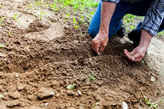 Relatório da ONU aponta que até 40% da área terrestre está degradada