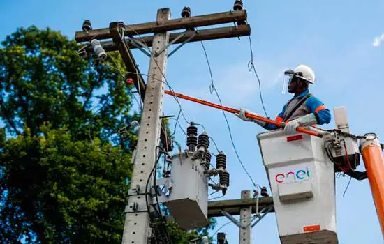 Prefeitura de SP multa Enel por poda irregular de árvore na zona oeste