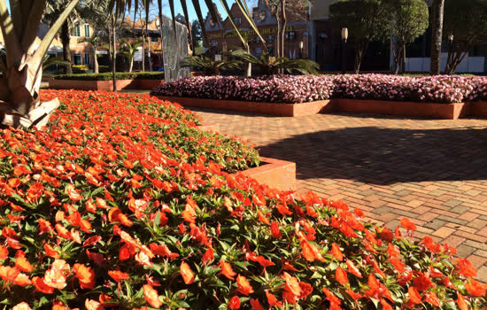 Expoflora comemora os 70 anos da imigração holandesa no Brasil