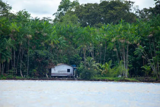 FSC completa 20 anos de atuação no Brasil