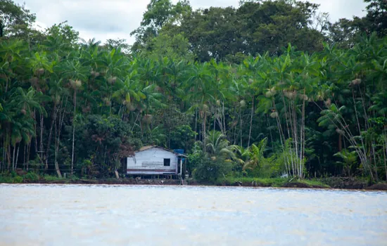 FSC completa 20 anos de atuação no Brasil