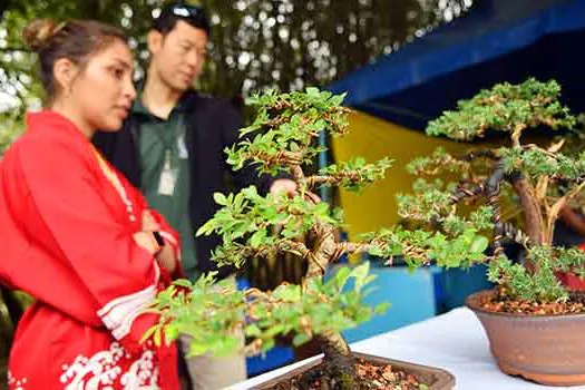 Diadema celebra a chegada da Primavera em 2019