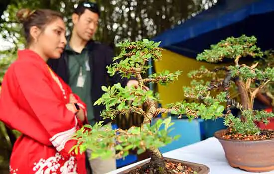 Diadema celebra a chegada da Primavera em 2019