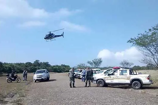 Fiscalização Ambiental de SBC realiza ação no Parque Estadual Serra do Mar