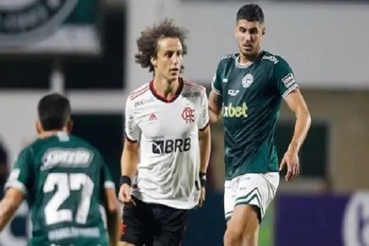 Flamengo fica no empate com o Goiás