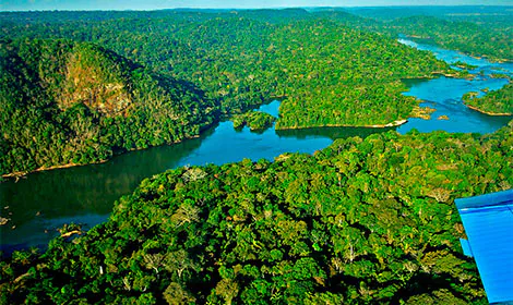 Amazônia perde capacidade de absorver carbono