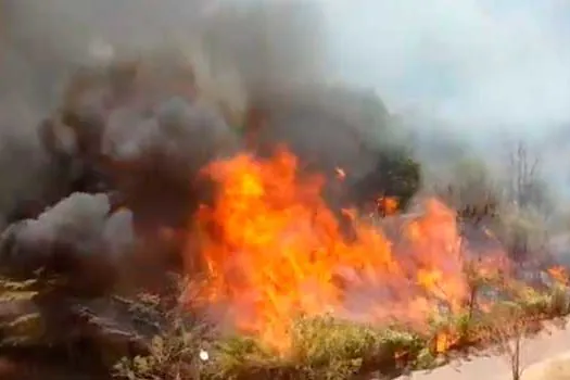 Fogo queima parque em Águas Claras, entorno de Brasília