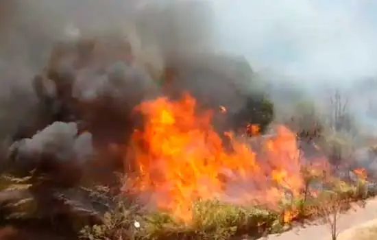 Fogo queima parque em Águas Claras