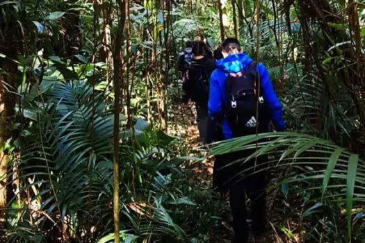 Fundação Florestal abre mais vagas para Formação de Monitores Ambientais Autônomos