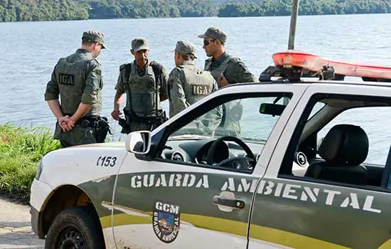 Guarda Ambiental de São Bernardo resgata cães vítimas de maus-tratos no Rudge Ramos