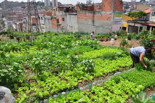 Mauá celebra a Semana Mundial da Alimentação