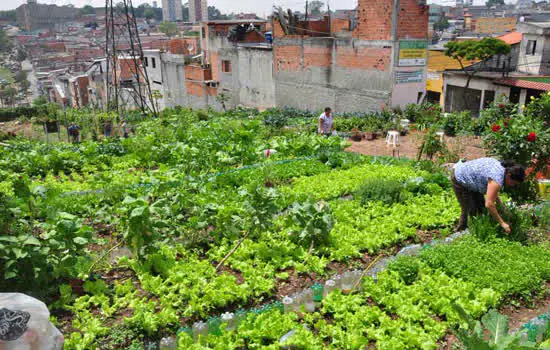 Mauá celebra a Semana Mundial da Alimentação