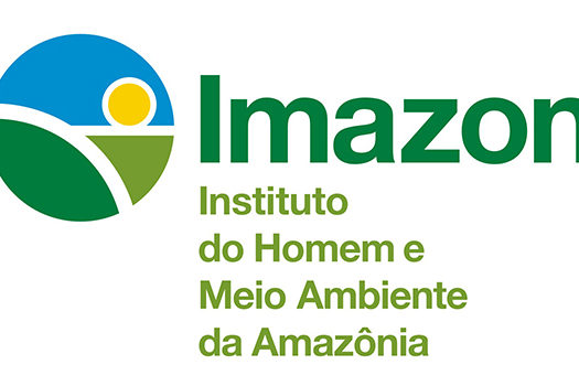 ONG indica alta de 16% no desmatamento da Amazônia no último ano