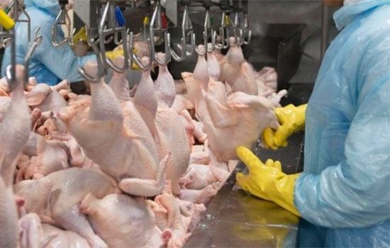 México suspende importação de carne de frango do Brasil