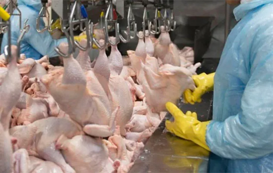 México suspende importação de carne de frango do Brasil