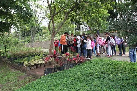 Oficina ”Berçário e Sementeiras: onde nascem as plantas”