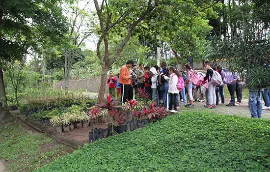 Oficina ”Berçário e Sementeiras: onde nascem as plantas”