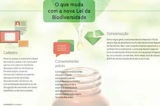 O que sua empresa precisa saber sobre a Lei da Biodiversidade