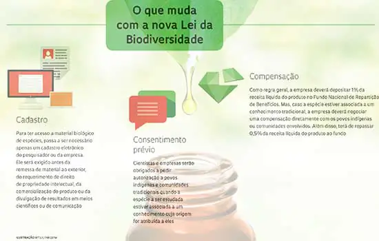 O que sua empresa precisa saber sobre a Lei da Biodiversidade