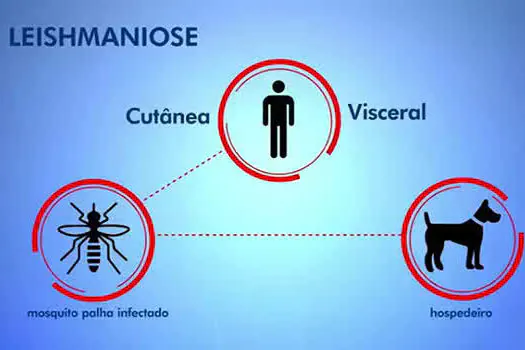 Chegada do verão alerta para prevenção e combate à Leishmaniose