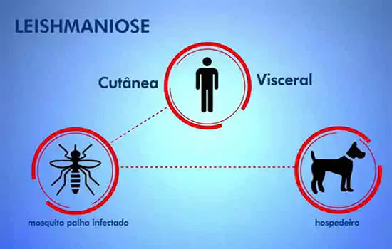 Chegada do verão alerta para prevenção e combate à Leishmaniose