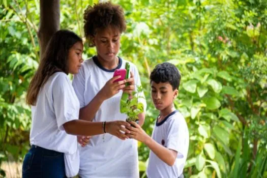 Estudantes da capital plantam quase 10 mil árvores nativas da Mata Atlântica_x000D_