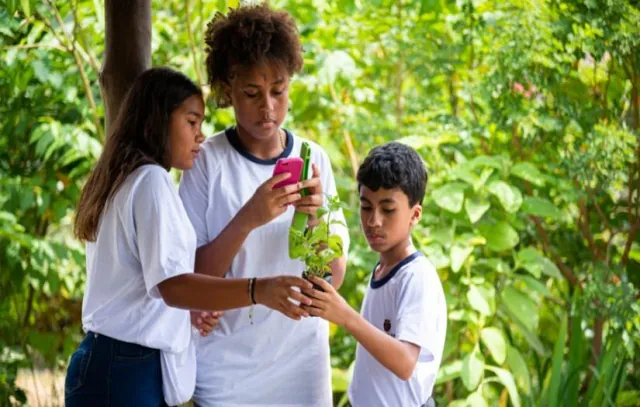 Estudantes da capital plantam quase 10 mil árvores nativas da Mata Atlântica_x000D_