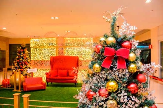 Shopping Ibirapuera tem trono do Papai Noel exclusivo para cães