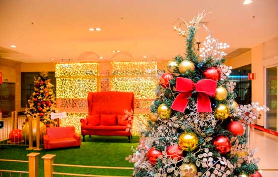 Shopping Ibirapuera tem trono do Papai Noel exclusivo para cães