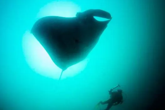 Casa das Caldeiras recebe grande Oceanário durante a Jornada do Patrimônio 2019