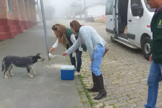 Paranapiacaba recebe ações voltadas para a causa animal