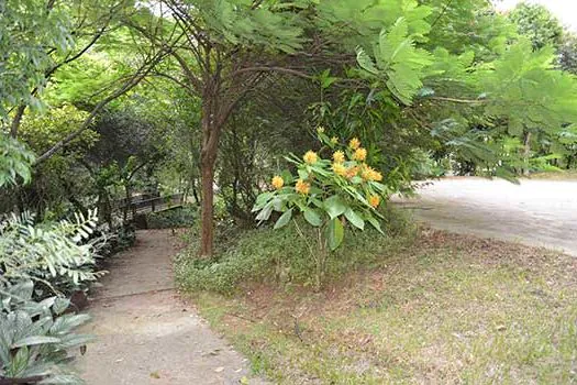 Parque Escola de Santo André resgata sua história