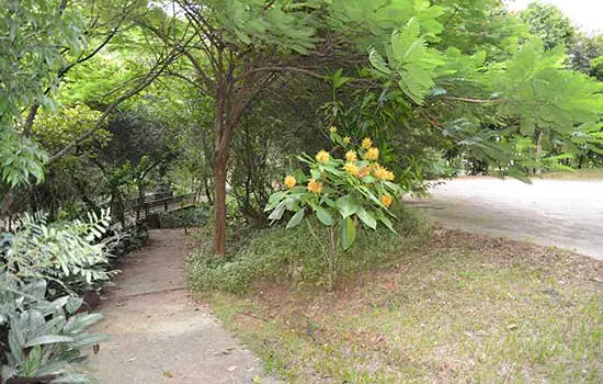 Parque Escola de Santo André resgata sua história