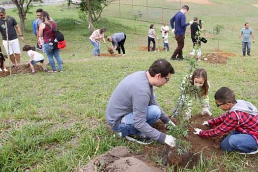 Campanha do Grupo Freudenberg realiza plantio de árvores em todo o mundo