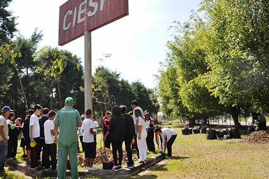 Estudantes de Diadema plantam mudas para compensação ambiental