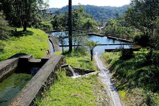 Parque Nascentes de Paranapiacaba na mira dos fotógrafos