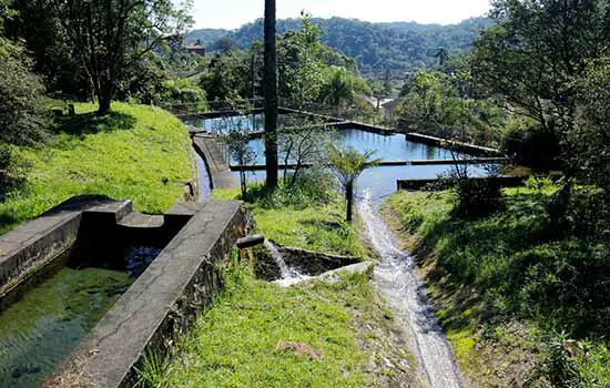 Parque Nascentes de Paranapiacaba na mira dos fotógrafos