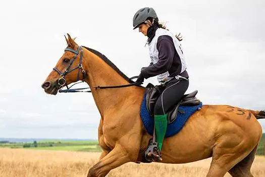 Cavalo Árabe garante vaga na seletiva do Pan-americano de Enduro 2021