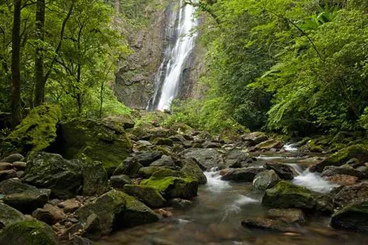 Reservas particulares podem gerar modelos de negócio aliados à conservação da natureza