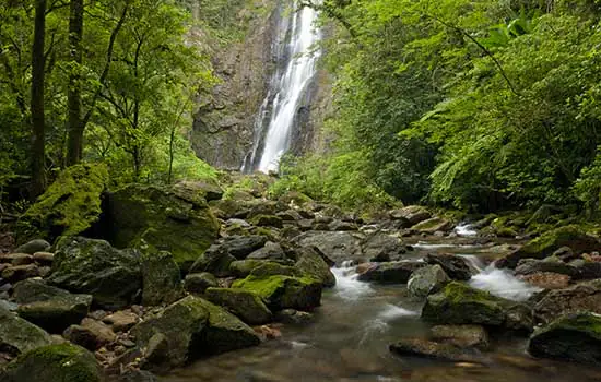 Reservas particulares podem gerar modelos de negócio aliados à conservação da natureza