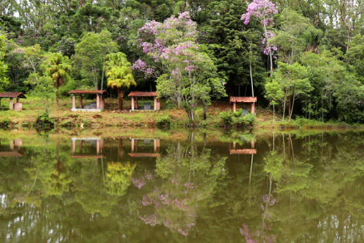 Localizado em SP, Parque Nascentes do Ribeirão Colônia completa dois anos