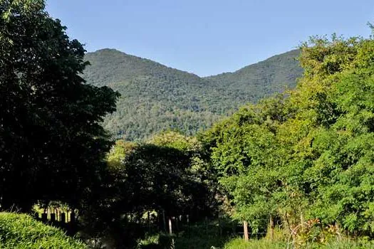 Quatro municípios de SP planejam cinturão protetor no entorno da Serra do Japi