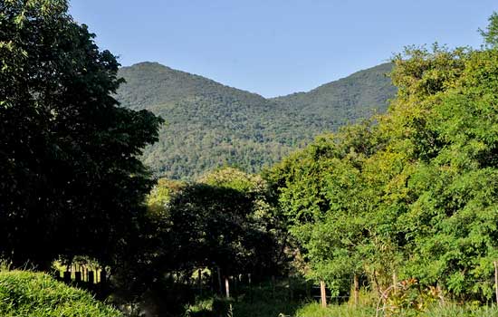 Quatro municípios de SP planejam cinturão protetor no entorno da Serra do Japi
