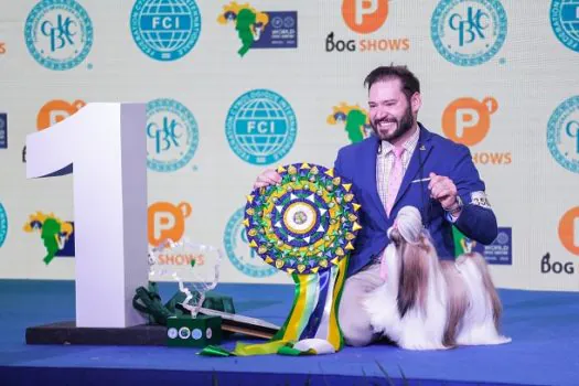 Shih Tzu é eleito o Melhor Cão do Mundo em 2022