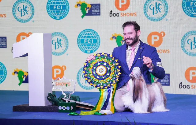 Shih Tzu é eleito o Melhor Cão do Mundo em 2022