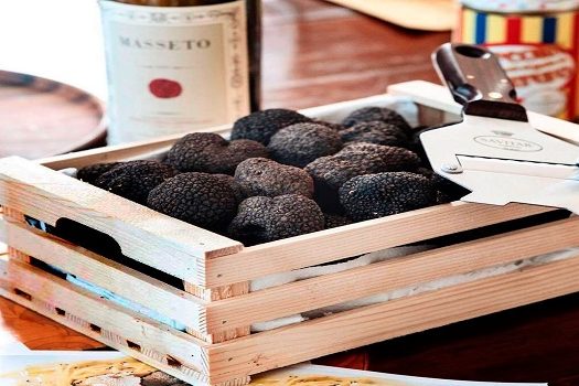 Você sabe o que são as trufas utilizadas na gastronomia?