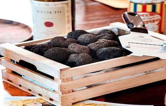 Você sabe o que são as trufas utilizadas na gastronomia?