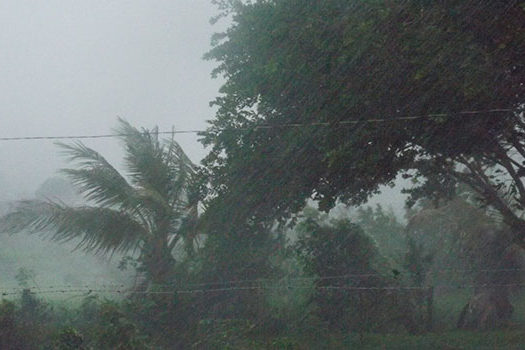 Tempestade tropical causa fortes chuvas na Flórida, EUA