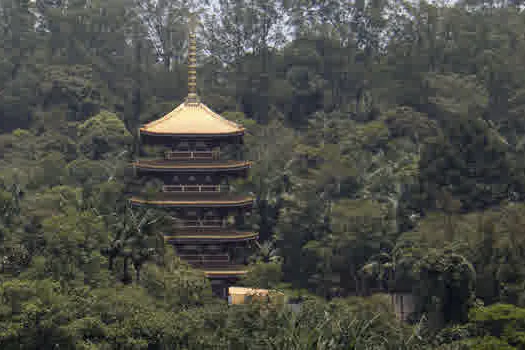 Você ainda não conhece a maior torre japonesa do Brasil?